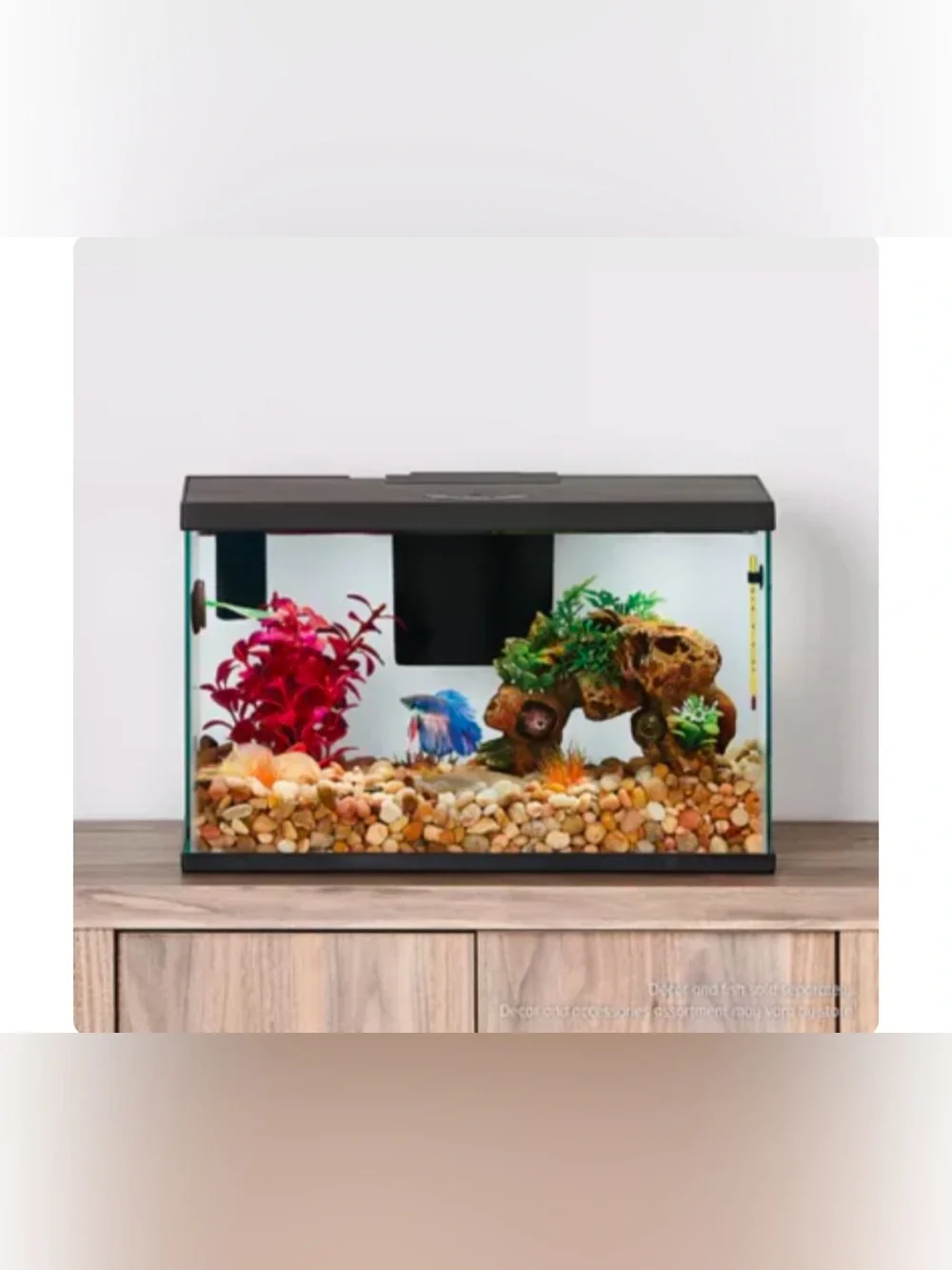 Top Fin All-In-One Betta Aquarium Starter Kit - Blue